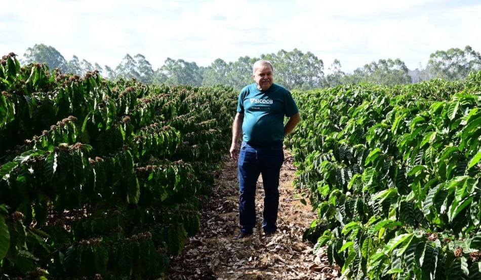 Bento Venturim em lavoura