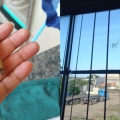 Foto: Reprodução/TV Vitória