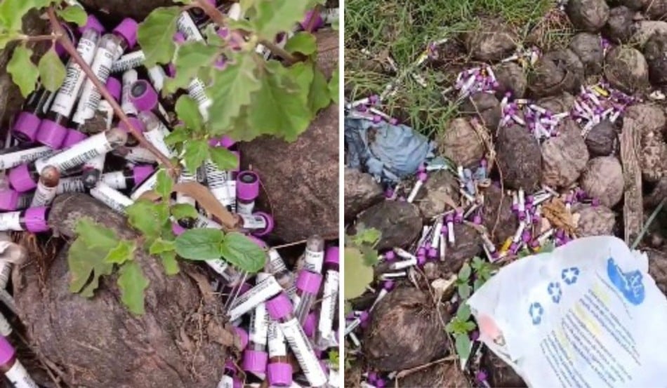 ampolas de sangue descartadas em rodovia de vila velha